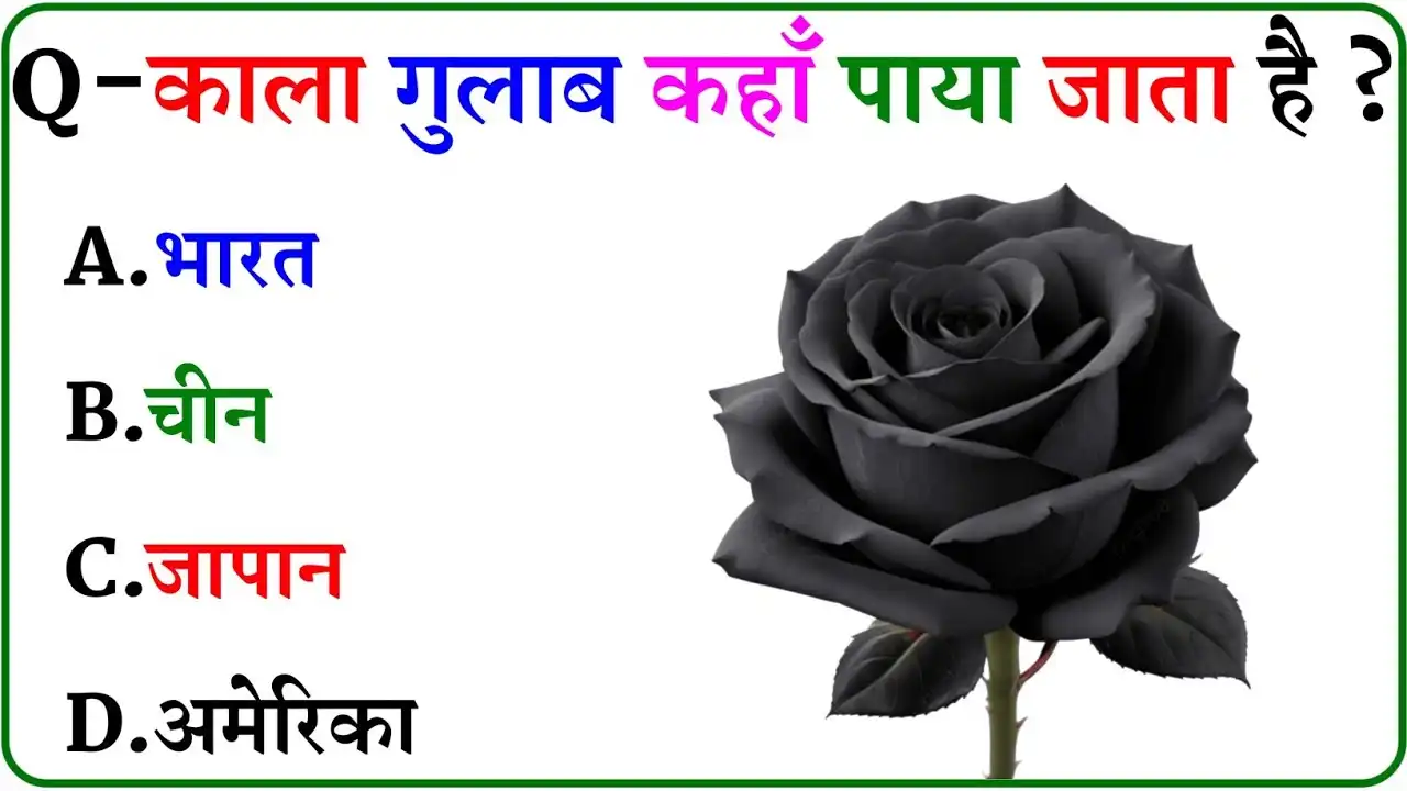 General Knowledge: काला गुलाब कहा पाया जाता है ?