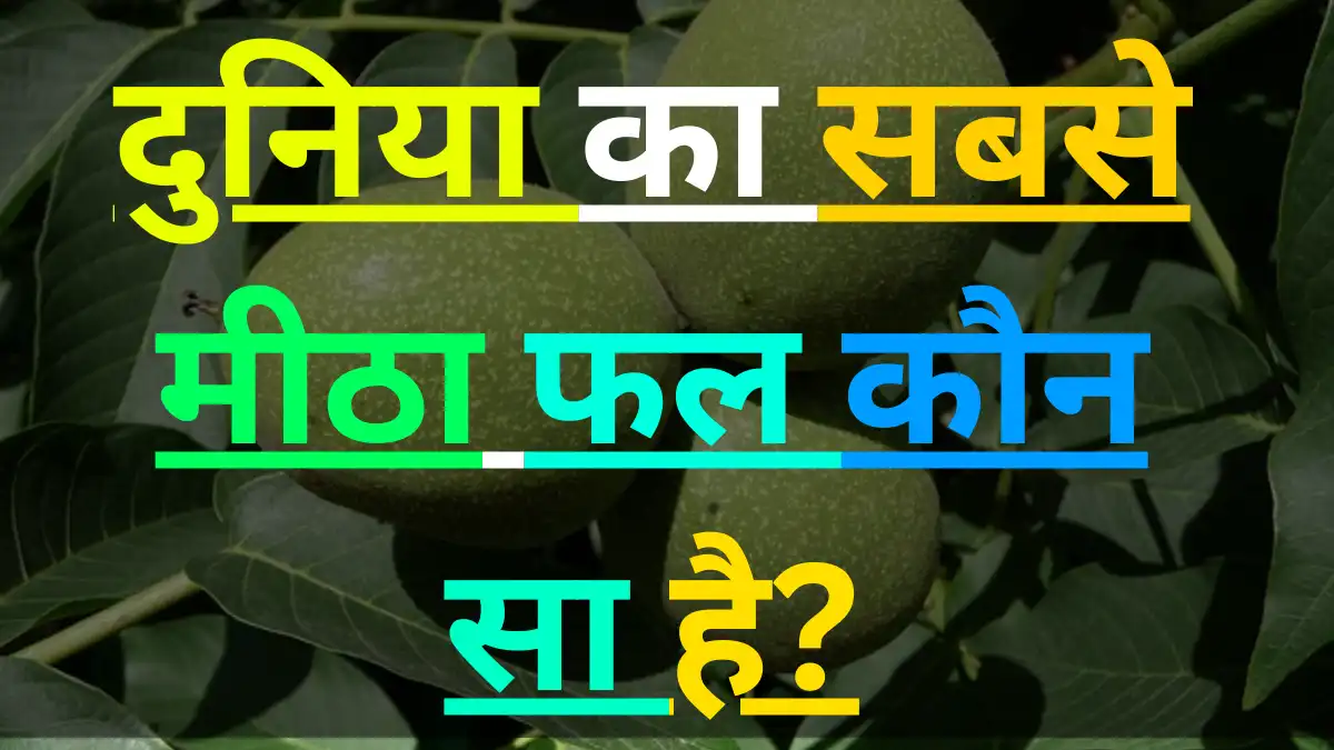 दुनिया का सबसे मीठा फल कौन-सा है?
