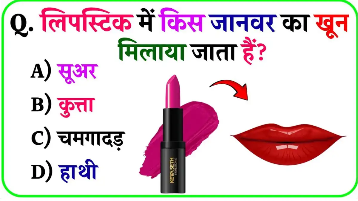 GK Question Answer In Hindi: लिपस्टिक में किस जानवर का खून मिलाया जाता है?