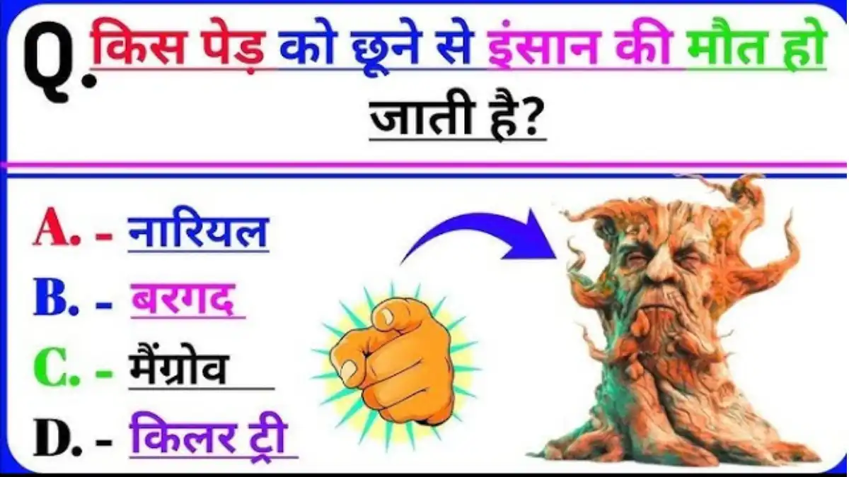 GK Quiz In Hindi: किस पेड़ को छूने से इंसान की मृत्यु हो जाती है?