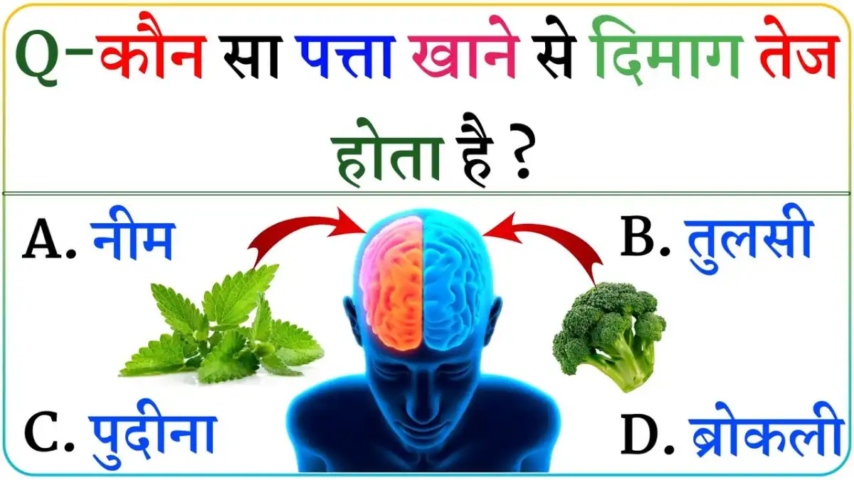General Knowledge In Hindi: कौन सा पत्ता खाने से दिमाग बहुत तेज होता है?