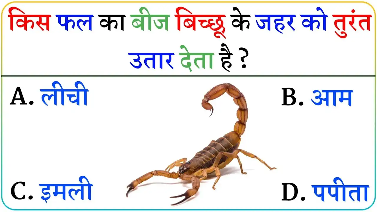 General Fact In Hindi: किस फल का बीज बीछू के जहर को तुरंत उतार देता है?
