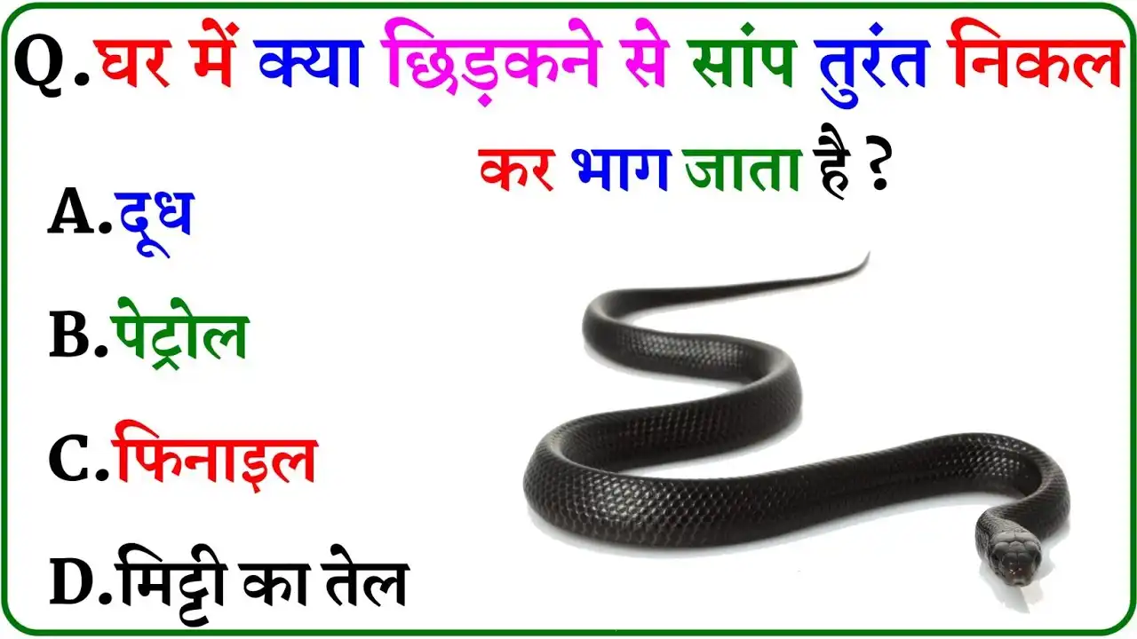 General Knowledge: घर में क्या छिड़कने से सांप तुरंत भाग जाता है?
