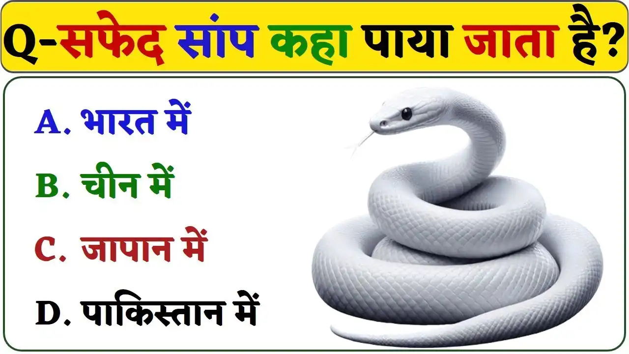 GK Quiz In Hindi: सफेद सांप कहा पाया जाता है?