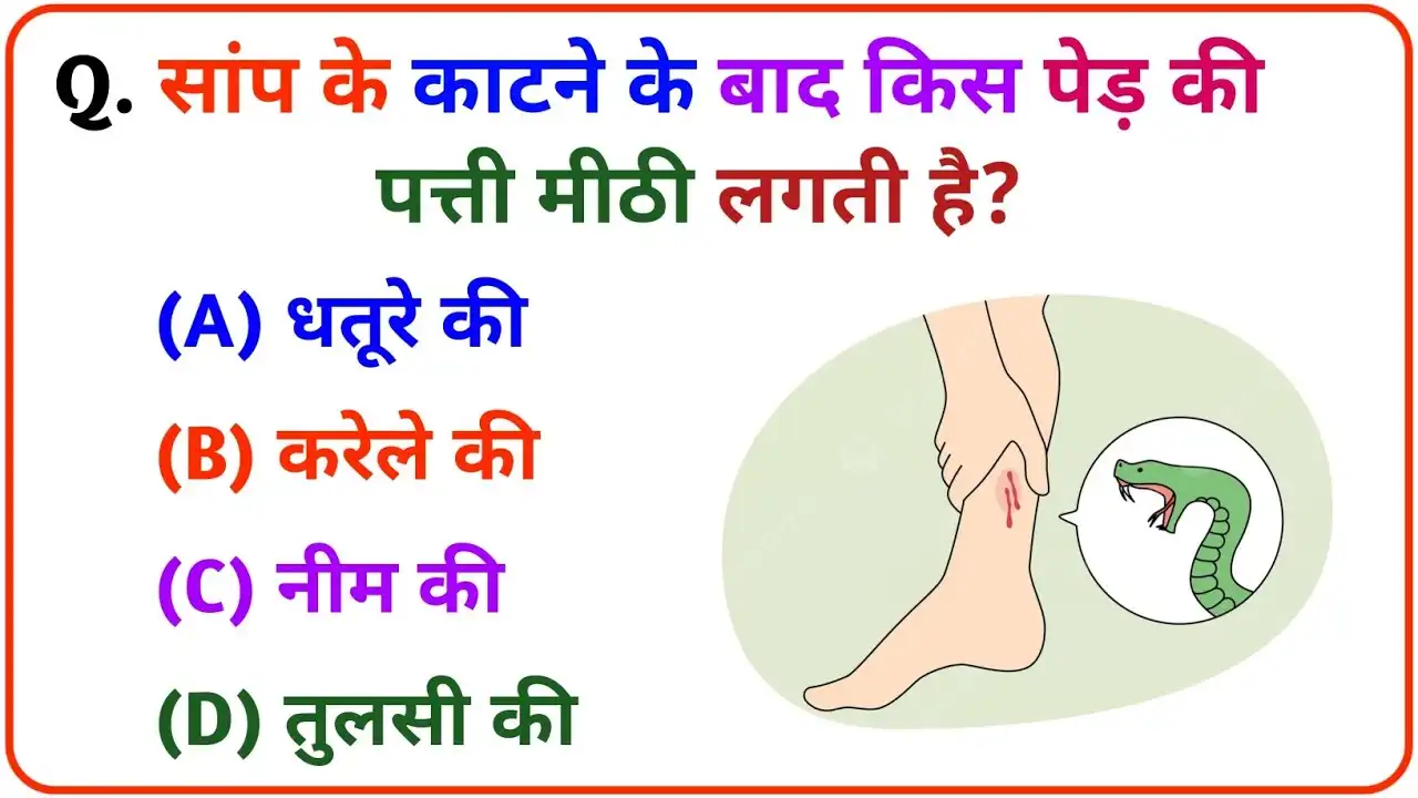 Interesting GK Quiz In Hindi: सांप के काटने के बाद किस पेड़ की पत्ती मीठी लगती है?