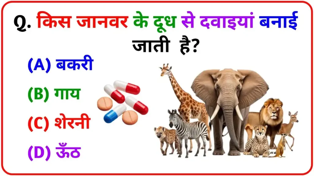 gk-quiz-in-hindi-which-animal-milk-is-used-to-make-medicine