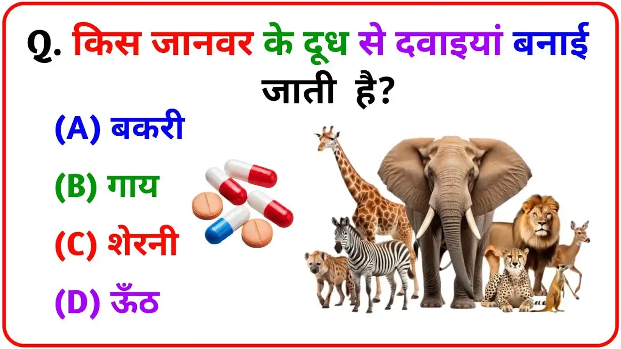 gk-quiz-in-hindi-which-animal-milk-is-used-to-make-medicine
